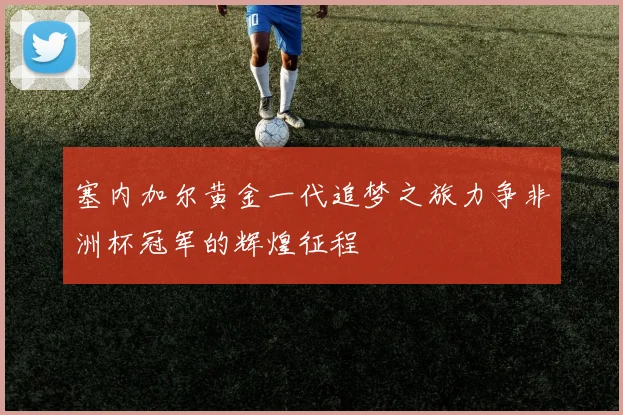塞内加尔黄金一代追梦之旅力争非洲杯冠军的辉煌征程