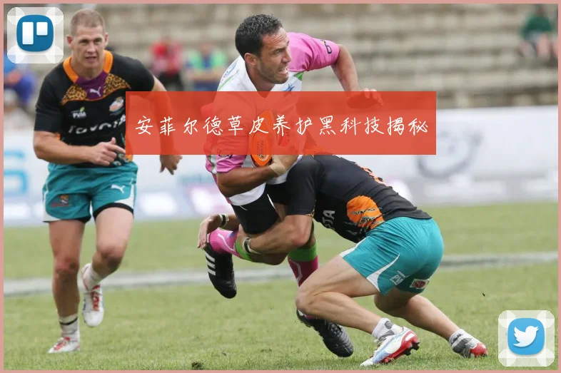 安菲尔德草皮养护黑科技揭秘