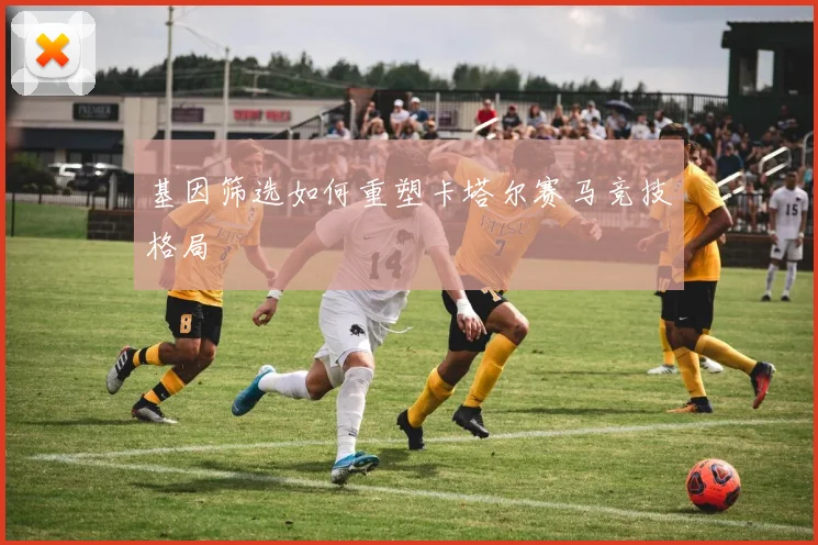 基因筛选如何重塑卡塔尔赛马竞技格局