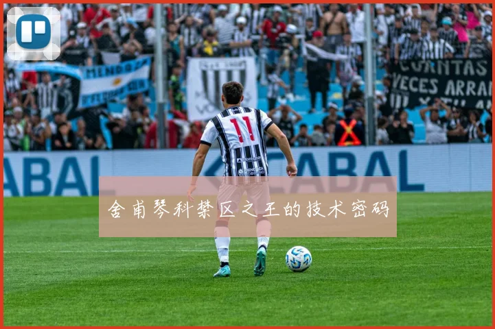 舍甫琴科禁区之王的技术密码