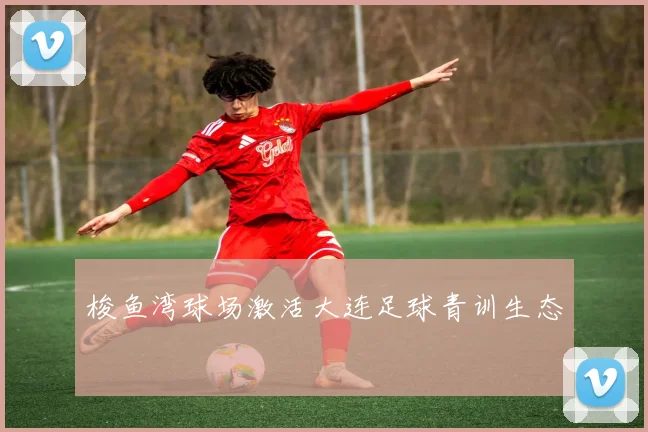 梭鱼湾球场激活大连足球青训生态