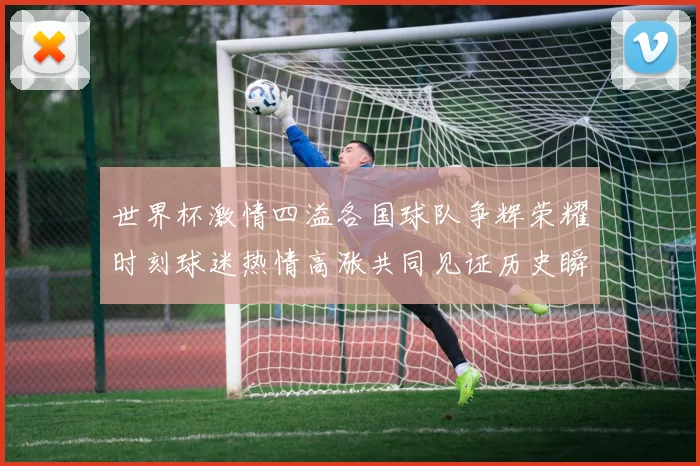 世界杯激情四溢各国球队争辉荣耀时刻球迷热情高涨共同见证历史瞬间