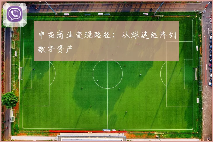 申花商业变现路径：从球迷经济到数字资产