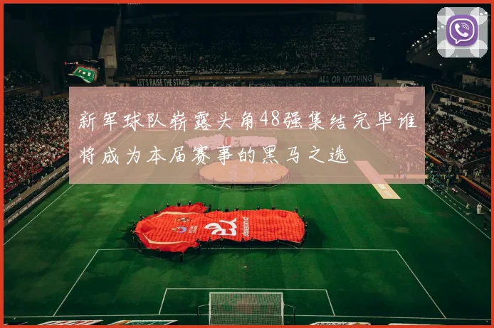 新军球队崭露头角48强集结完毕谁将成为本届赛事的黑马之选