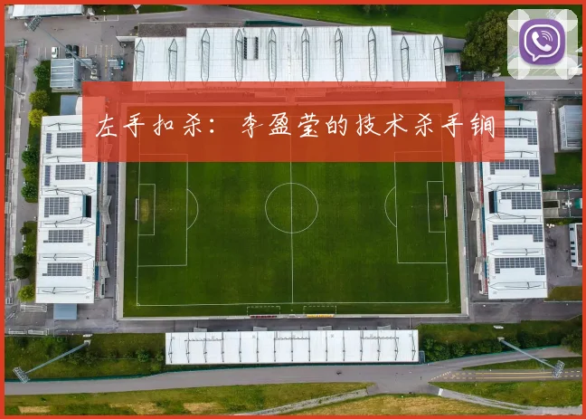 左手扣杀：李盈莹的技术杀手锏