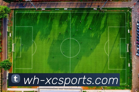 多媒体互动体验